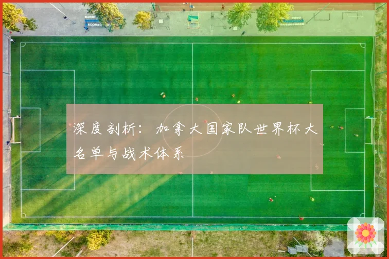深度剖析：加拿大国家队世界杯大名单与战术体系
