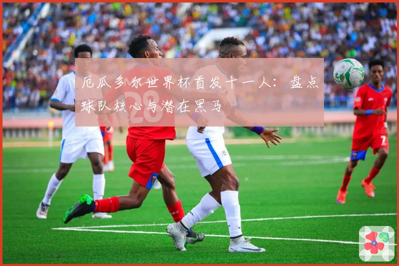 厄瓜多尔世界杯首发十一人:盘点球队核心与潜在黑马