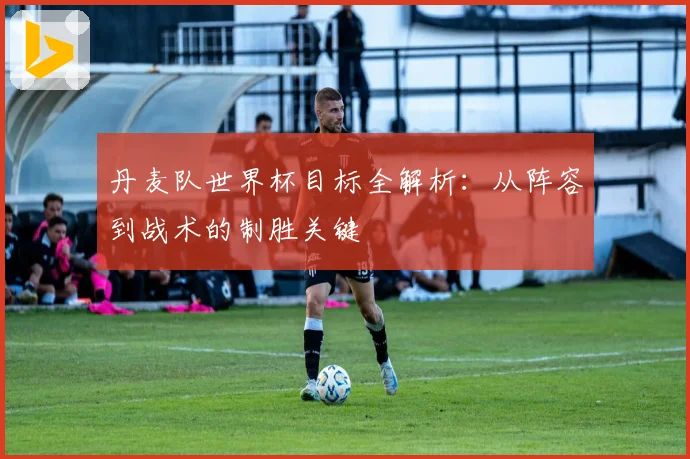 丹麦队世界杯目标全解析：从阵容到战术的制胜关键